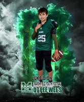 Luke Dion