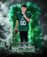 Owen DiGravio