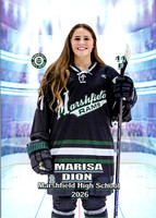 DION