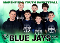 Blue Jays