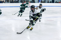 Green Cup DUX