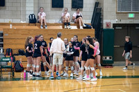 dig pink