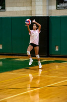 Dig Pink