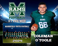 D7 Pee Wee